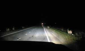 10 советов для вождения в темное время суток