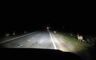 10 советов для вождения в темное время суток