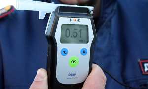 Можно ли обмануть алкотестер ГИБДД народными средствами
