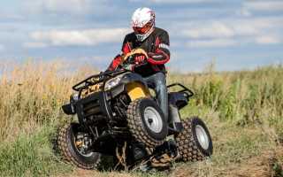 Квадроцикл irbis atv 150u для экстремального отдыха