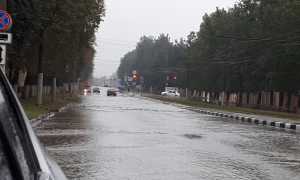 Как правильно управлять машиной во время сильного ливня