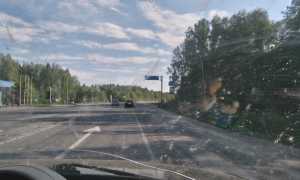 Как сделать так чтобы мошки не налипали на лобовое стекло