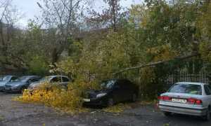 Как водить автомобиль при сильном ветре или во время грозы