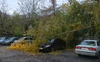 Как водить автомобиль при сильном ветре или во время грозы