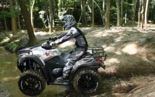 Надежный скутер kymco agility 50: технические характеристики модели и особенности
