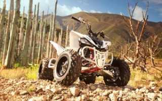 Спортивный квадроцикл Yamaha Raptor (Ямаха Раптор) YFM 250 R — обзор и характеристики модели для экстремальных гонок