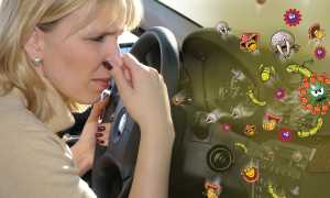 Откуда в салоне неприятный запах и как от него можно избавиться