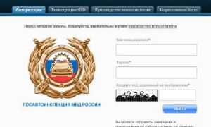 Как проверить диагностическую карту по базам ЕАИСТО и РСА онлайн и быстро