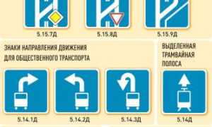 Какие новые автознаки ожидают водителей в 2019 году