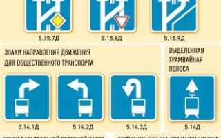 Какие новые автознаки ожидают водителей в 2019 году