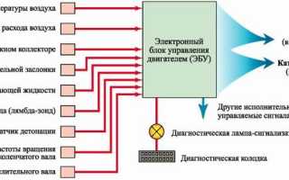 Электронный блок управления двигателем – что такое ЭБУ и как он работает