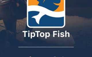 Навигационные приложения смартфонов для путешествия на снегоходах в лесу