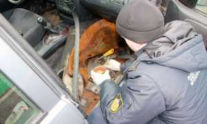 Что делать если ВИН-код машины совсем не читается