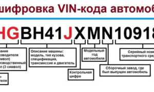 Как бесплатно проверить ВИН-код автомобиля