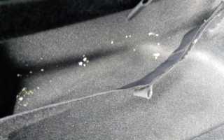 Откуда появляется плесень в багажнике и салоне автомобиля