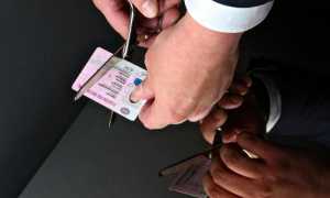 Как вернуть водительские права после лишения