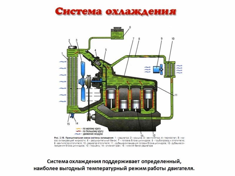 Как работает система охлаждения двигателя автомобиля