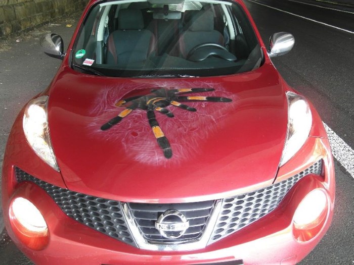 Аэрография паук на Ниссан Жук Аэрография паук на Ниссан Жук