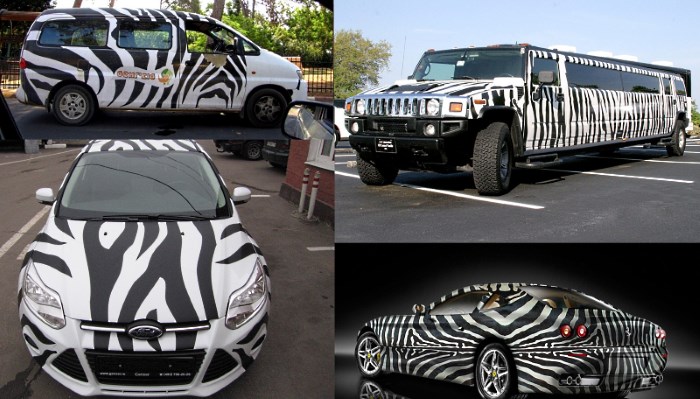 Аэрография полосы зебры Аэрография полосы зебры