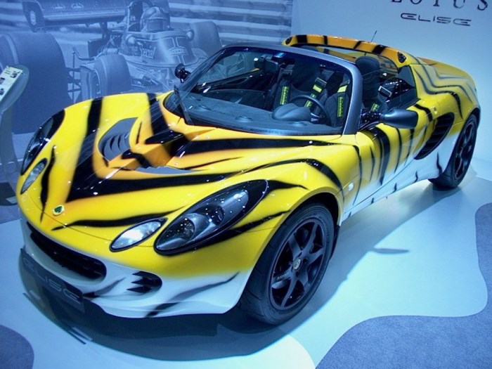 Аэрография тигровые полосы Аэрография тигровые полосы