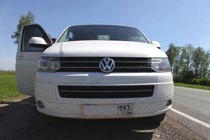 Следы насекомых на авто Следы насекомых на авто