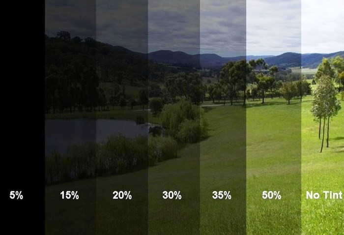 Тонировка Тонировка